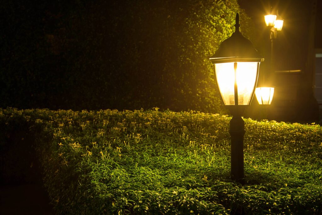 yellow light in the park at night