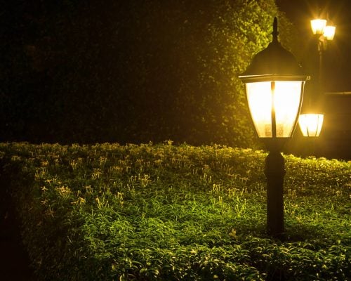 yellow light in the park at night